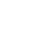 Flag icon