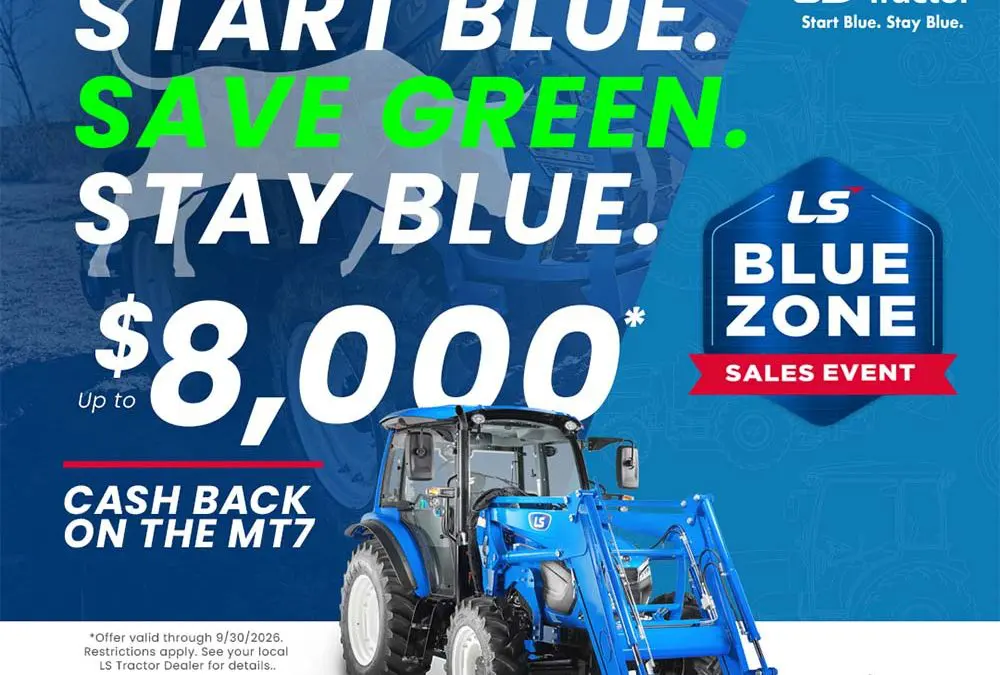 cash rebate