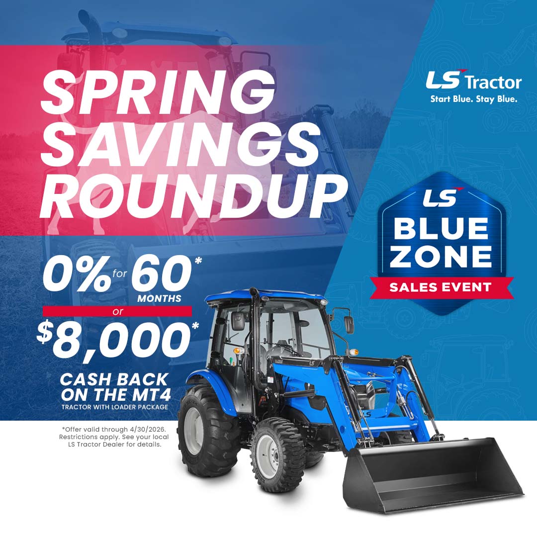 mt4 choose april 2026